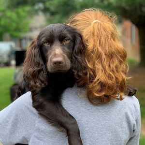 Meet your Posher, Abby